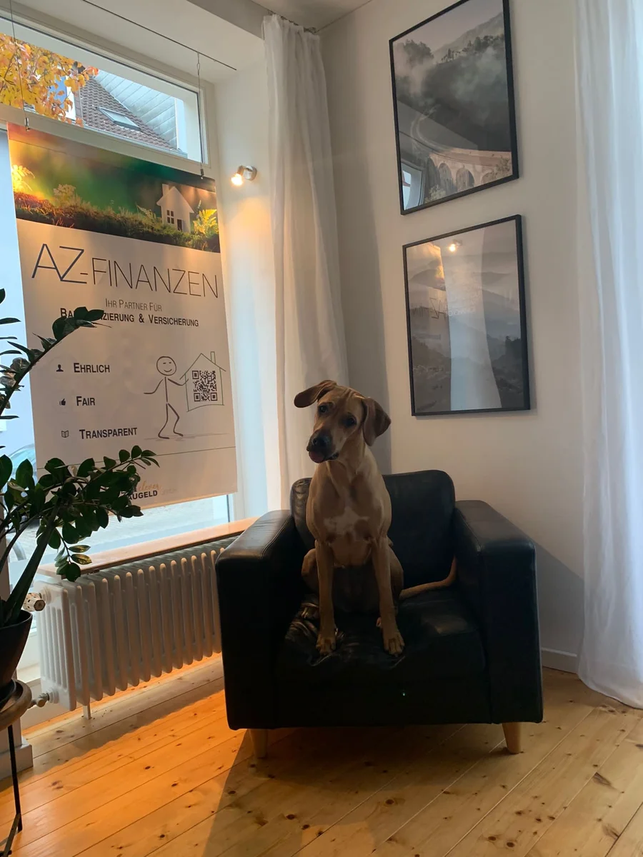 Jil – Der Bürohund